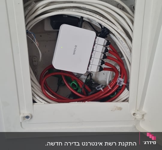מתג רשת D-Link עם כבלים לבנים ואדומים